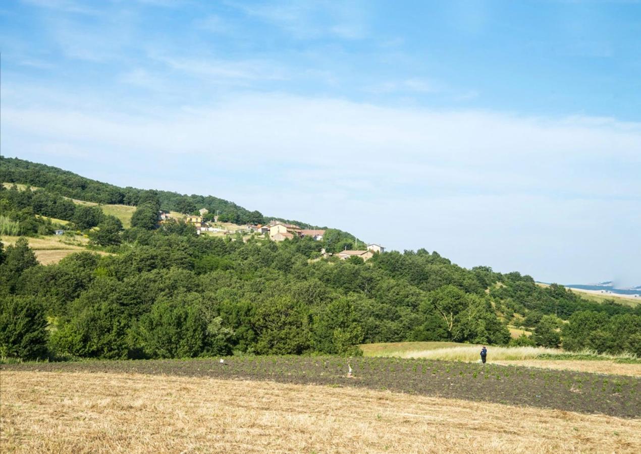 Le Pitture Casa Di Campagna Filiano Екстер'єр фото