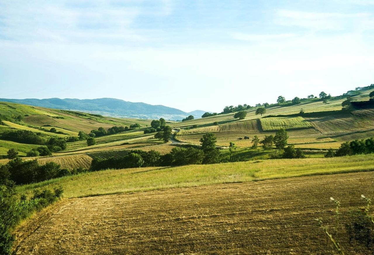 Le Pitture Casa Di Campagna Filiano Екстер'єр фото